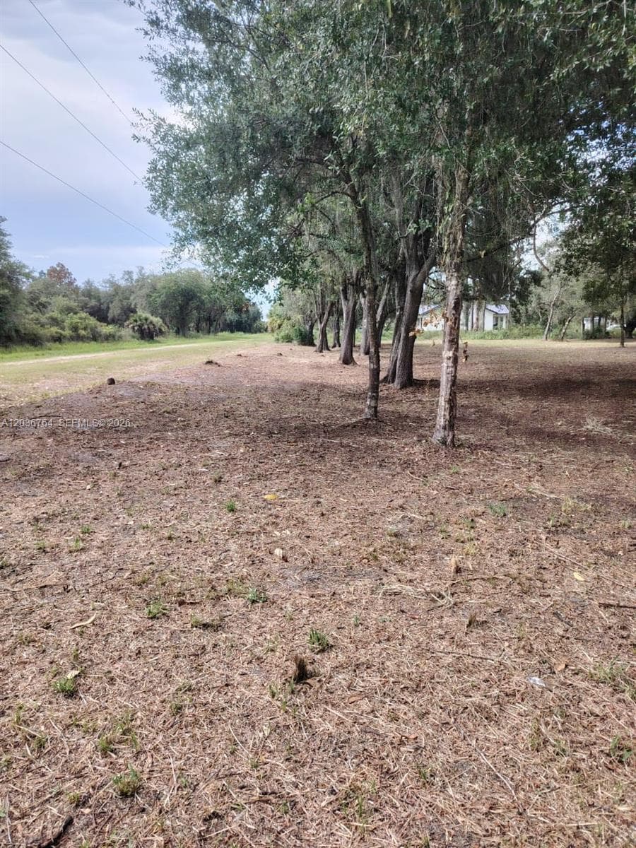 200 Avenida del Centro, Clewiston, FL 33440 photo 3