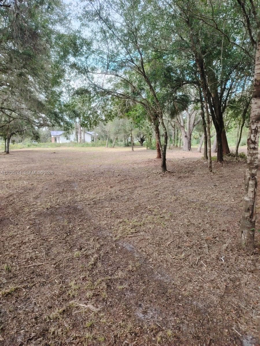 200 Avenida del Centro, Clewiston, FL 33440 photo 4