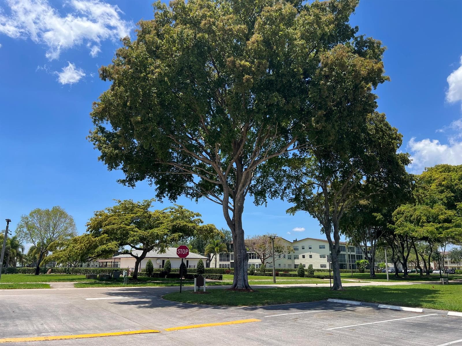 36 Mansfield A, Boca Raton, FL 33434 photo 11