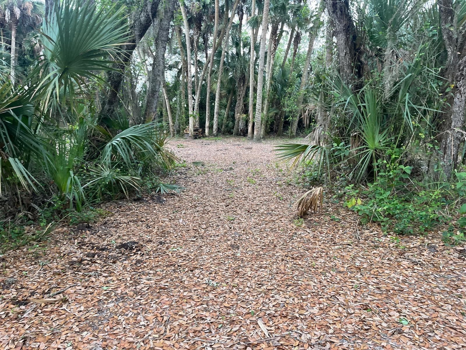 15148 NW 288th Street, Okeechobee, FL 34972 photo 12