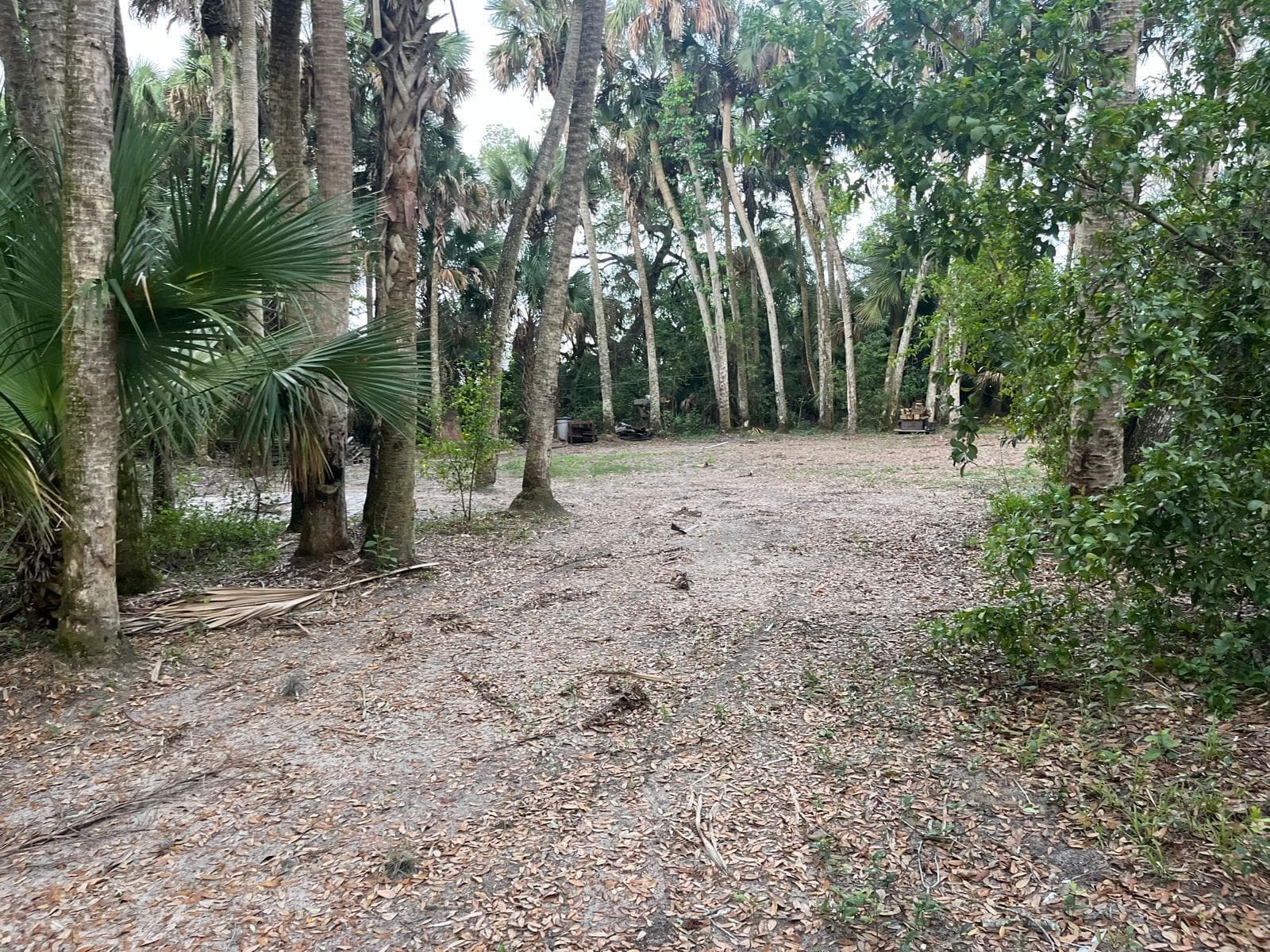 15148 NW 288th Street, Okeechobee, FL 34972 photo 11