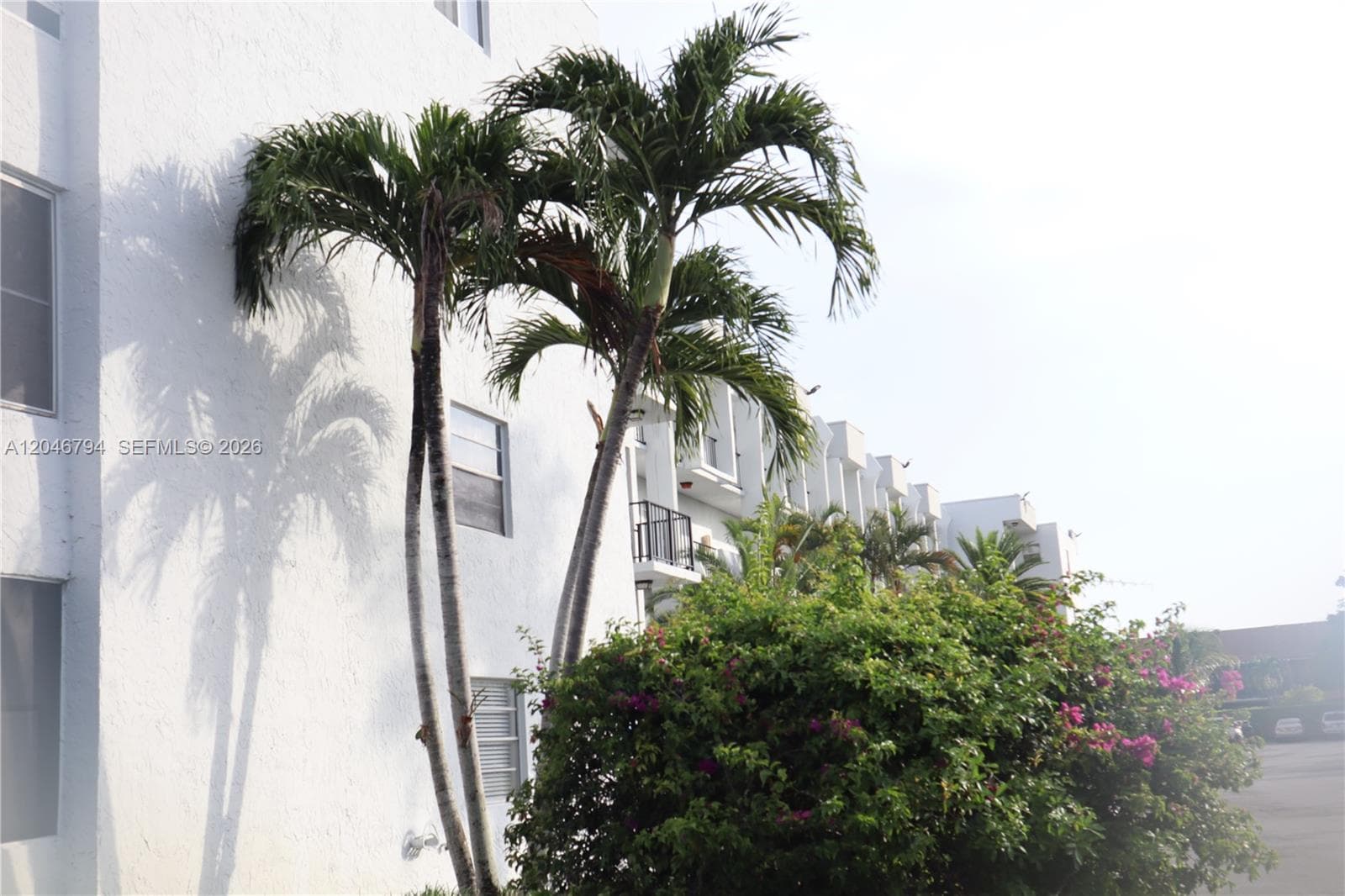 3000 E Sunrise Lakes Dr # 303, Sunrise, FL 33322 photo 3