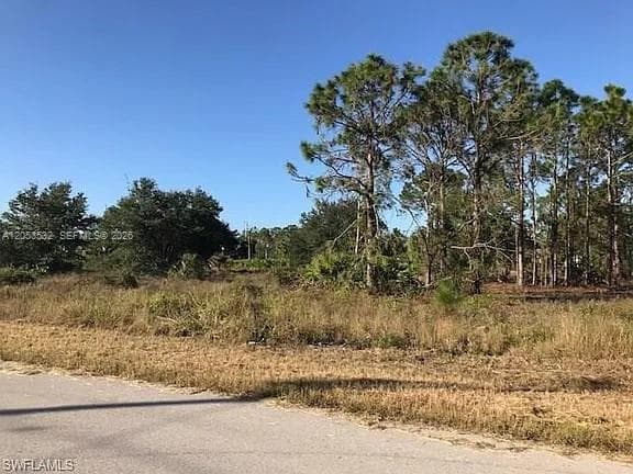 726 S Gaylord Avenue, Lehigh Acres, FL 33974 photo 6