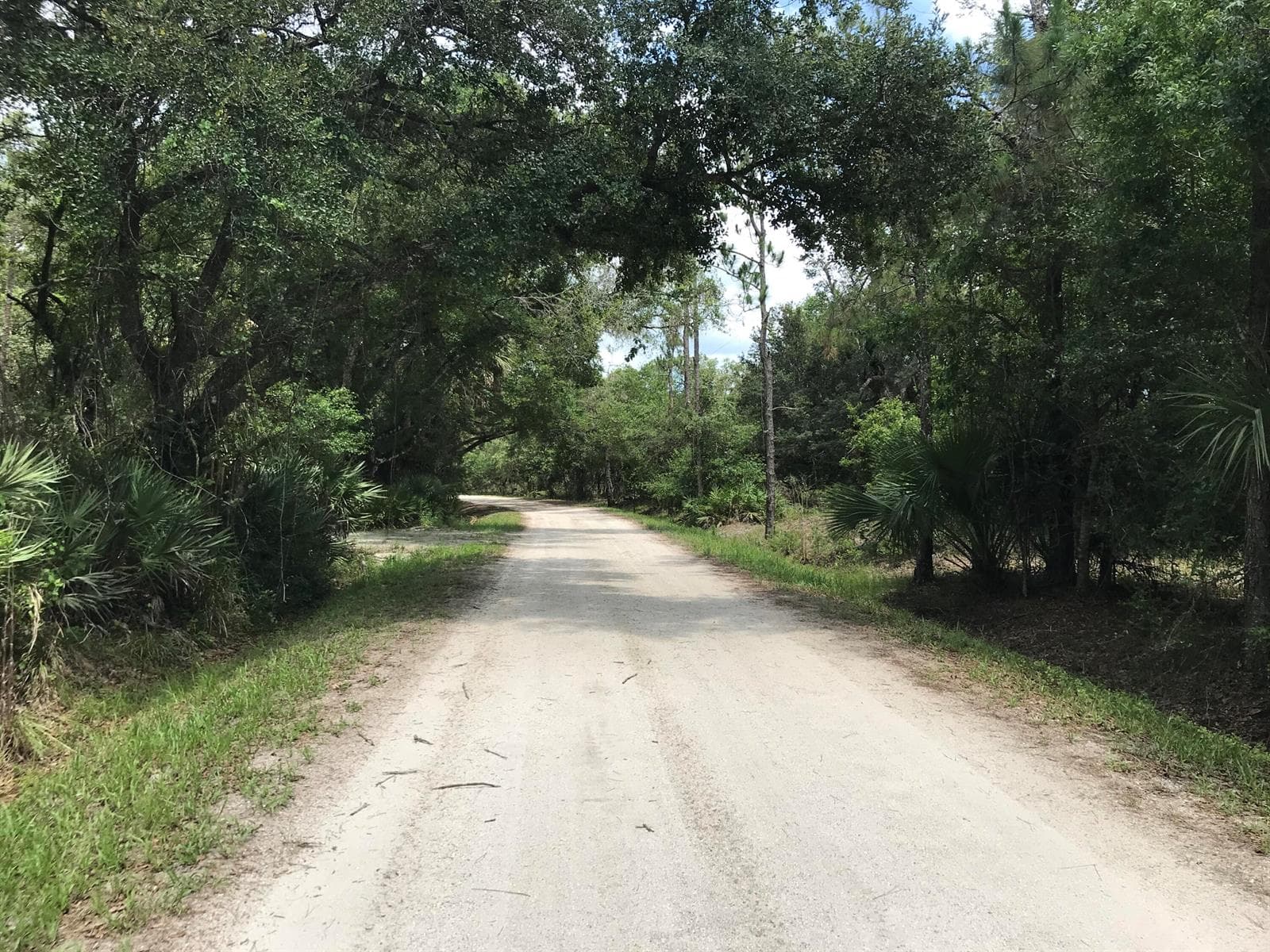 32801 US Hwy 441 N, Okeechobee, FL 34972 photo 6