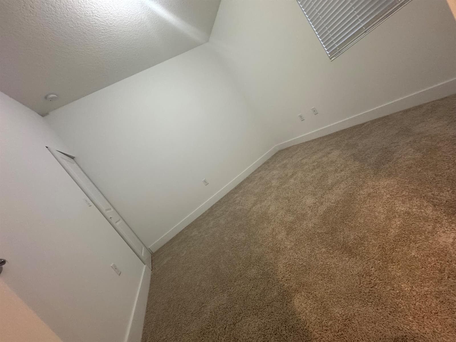 5120 Nevola Avenue, Ave Maria, FL 34142 photo 10