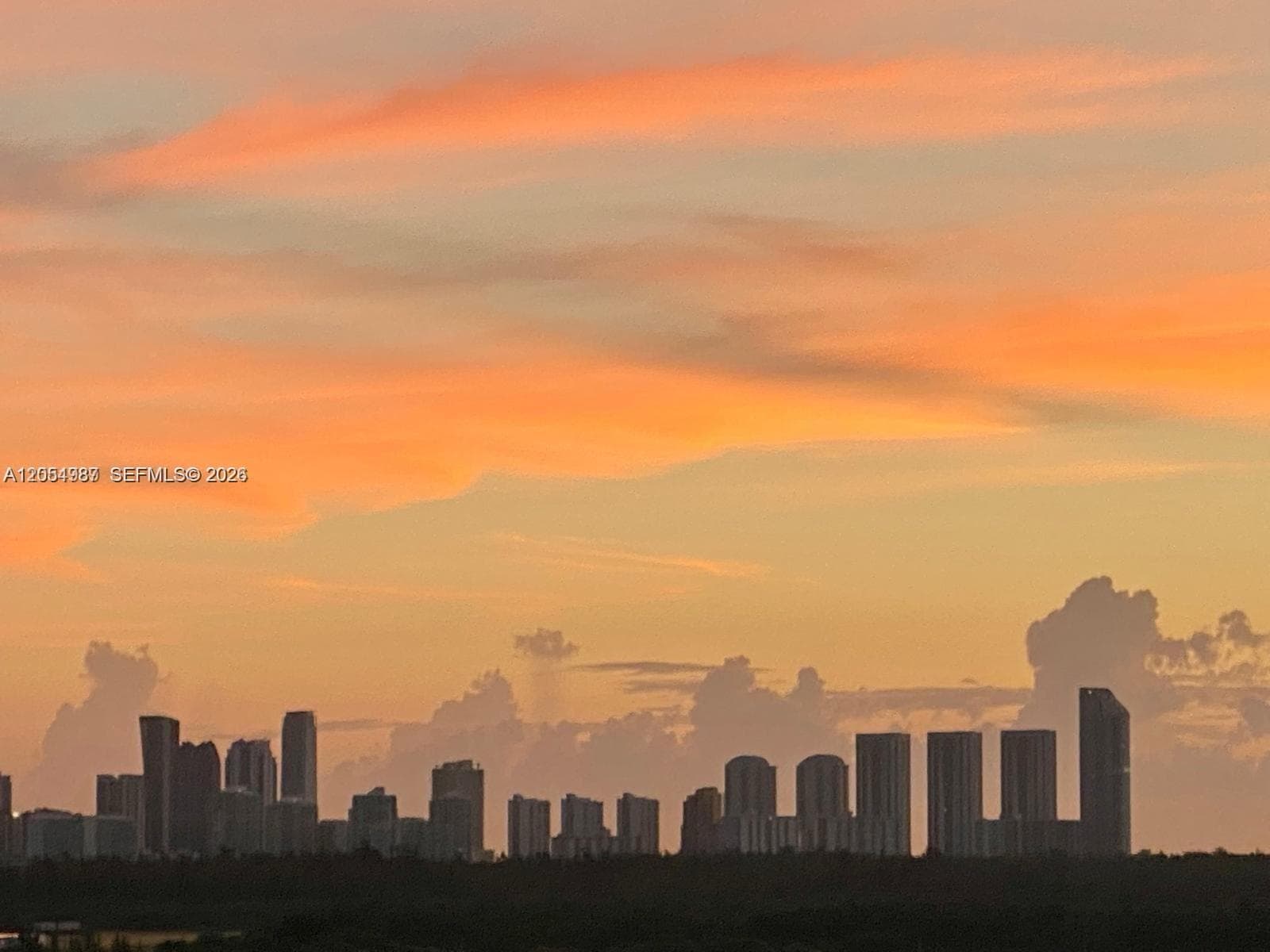 13499 Biscayne Blvd # 1111, North Miami, FL 33181 photo 10