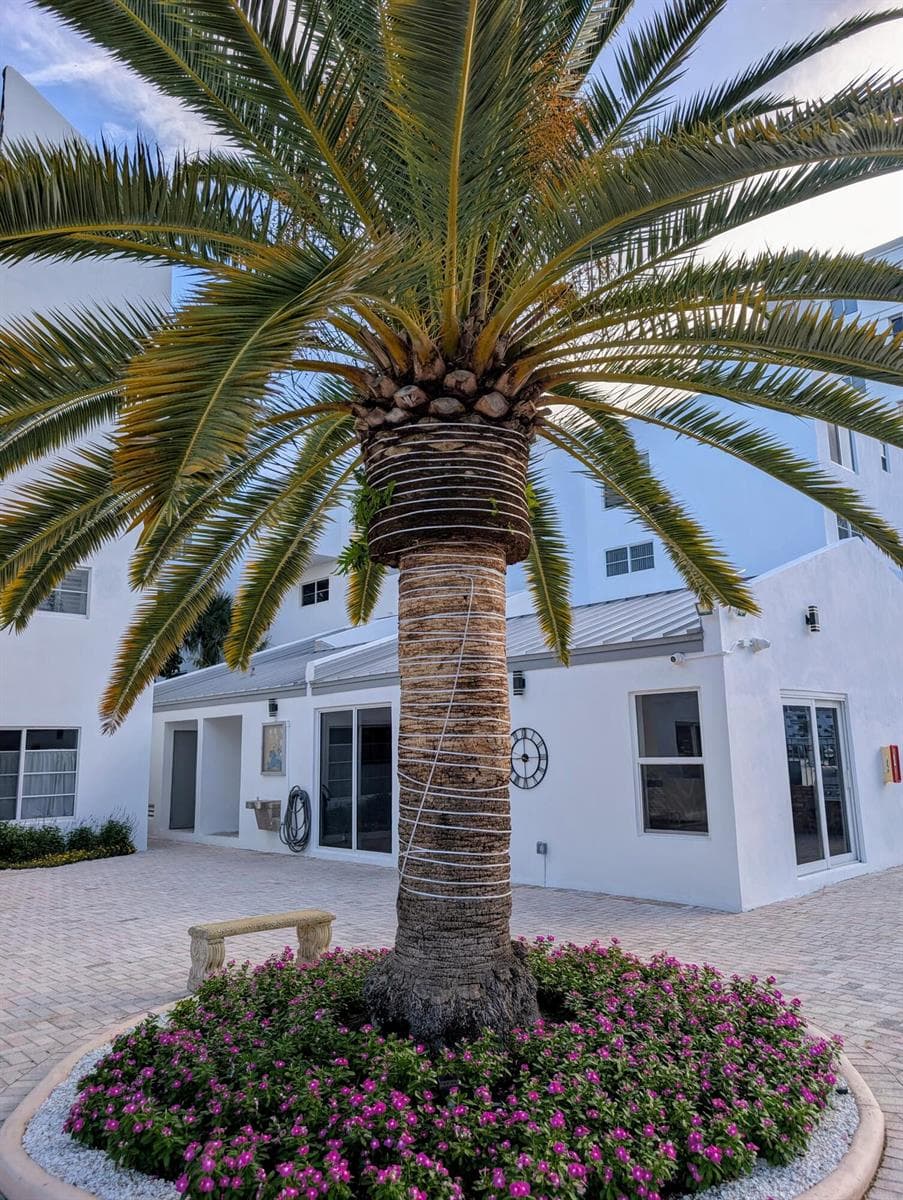 2860 NE 14th Street Causeway, Pompano Beach, FL 33062 photo 12