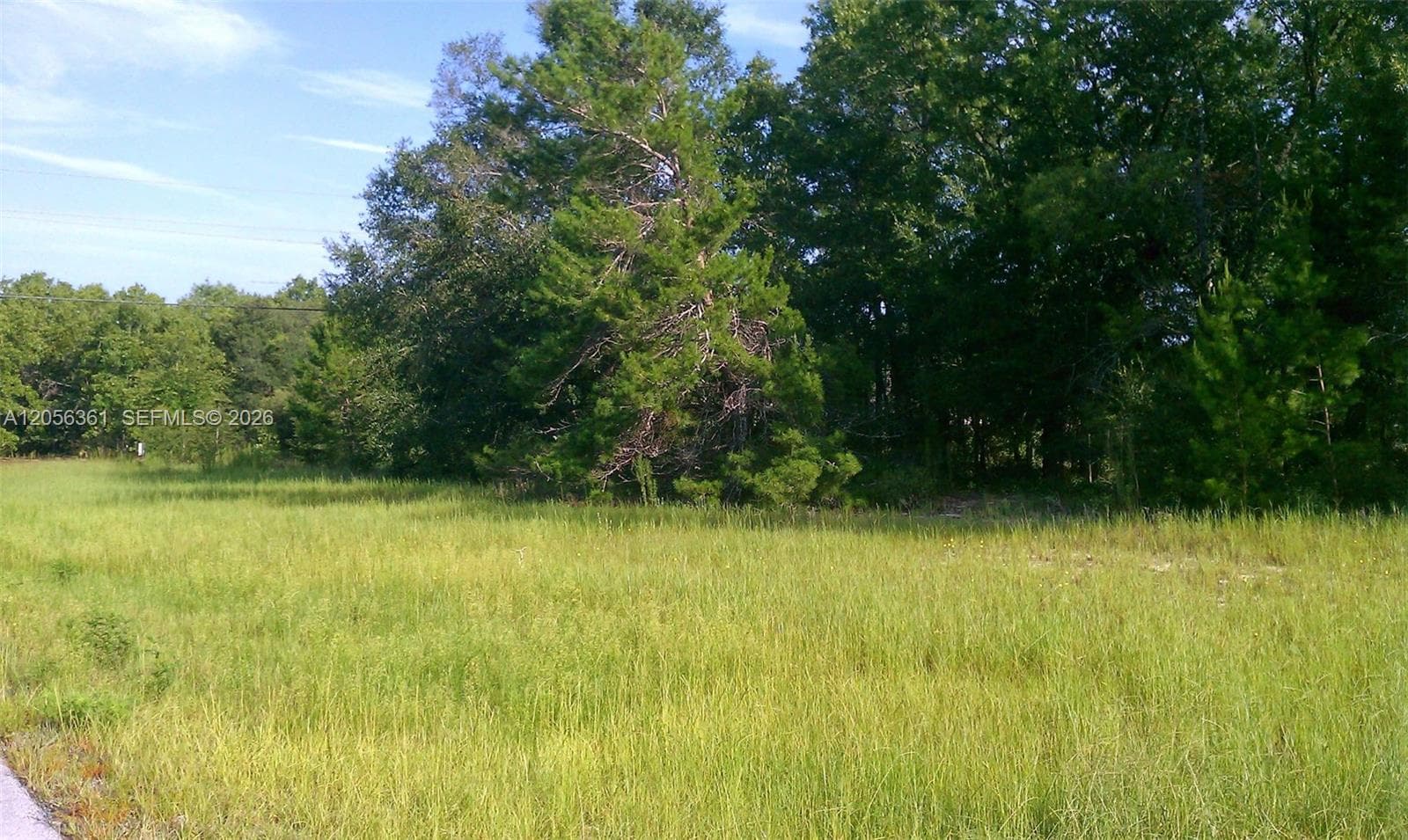 0 0, Ocala, FL 34471 photo 6