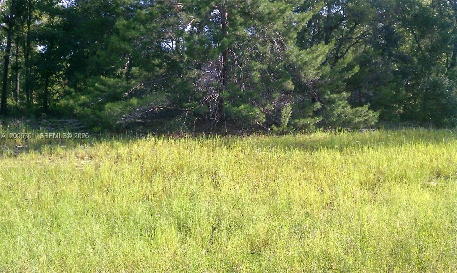 0 0, Ocala, FL 34471 photo 7
