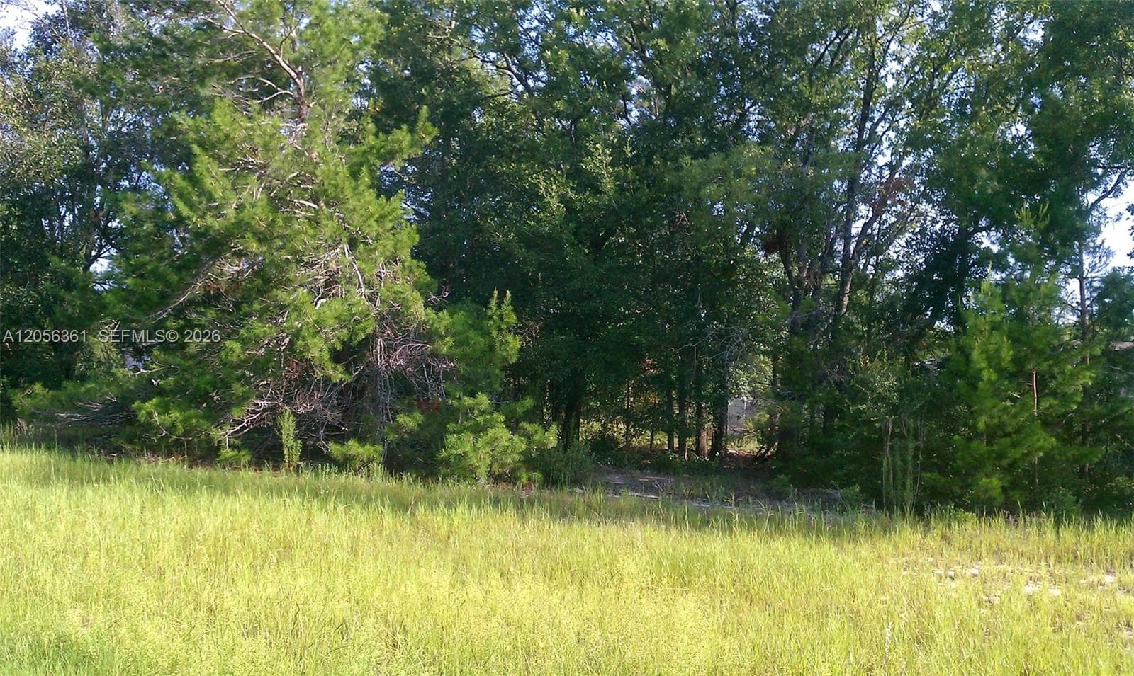 0 0, Ocala, FL 34471 photo 9