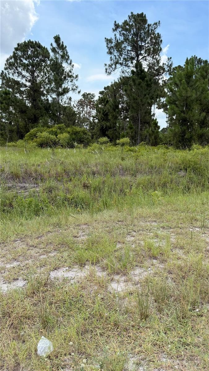 215 N Kennel St, Clewiston, FL 33440 photo 6