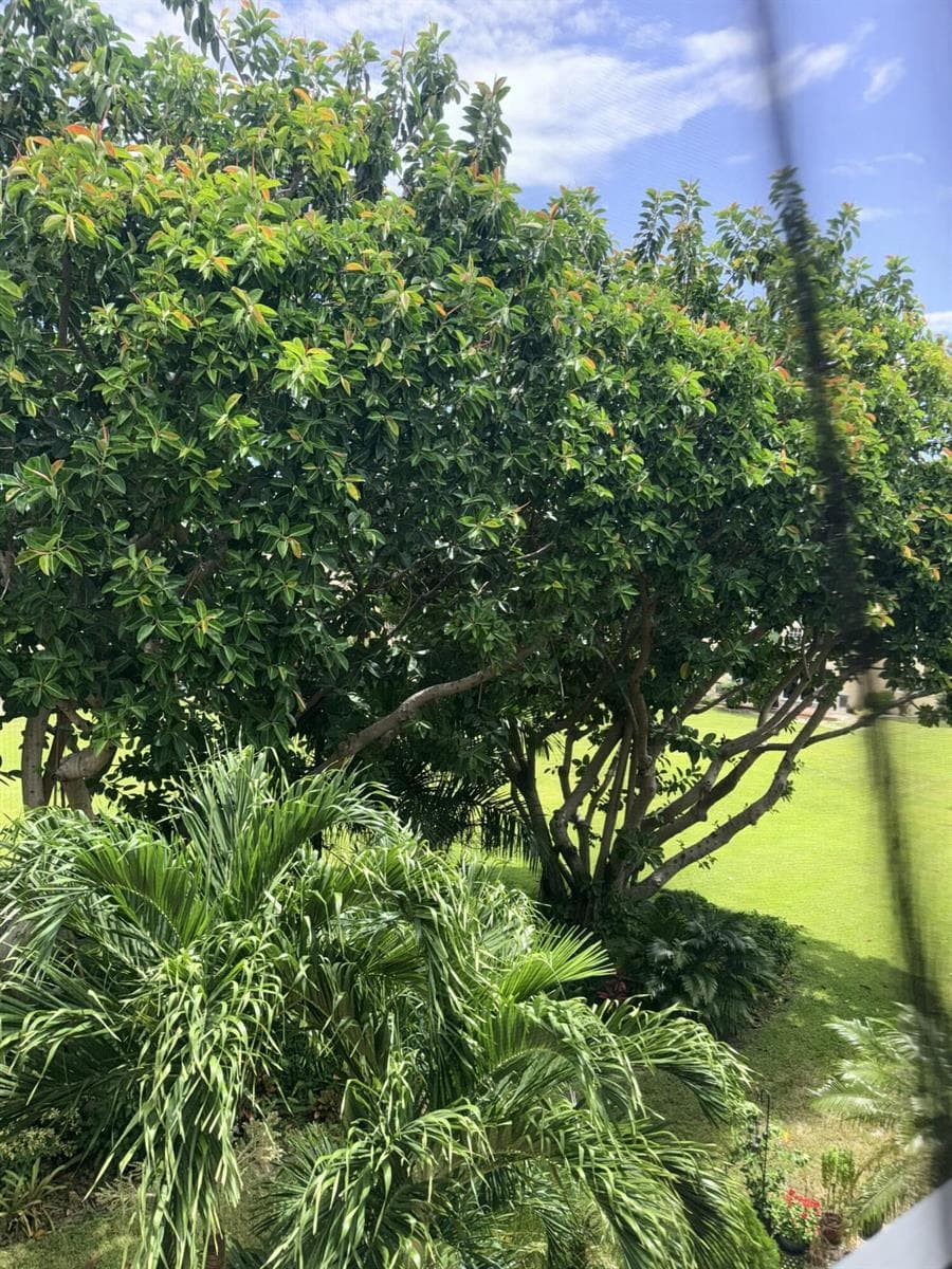 2601 NE 3RD Court # 3030, Boynton Beach, FL 33435 photo 12
