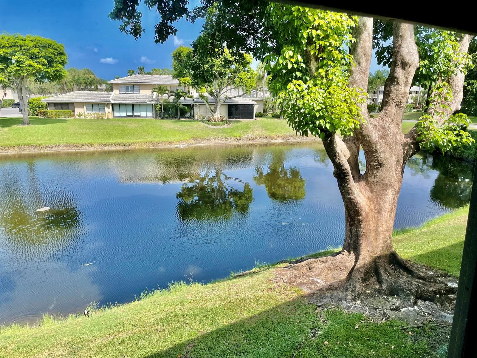 1 WESTGATE Lane # 1B, Boynton Beach, FL 33436 photo 6