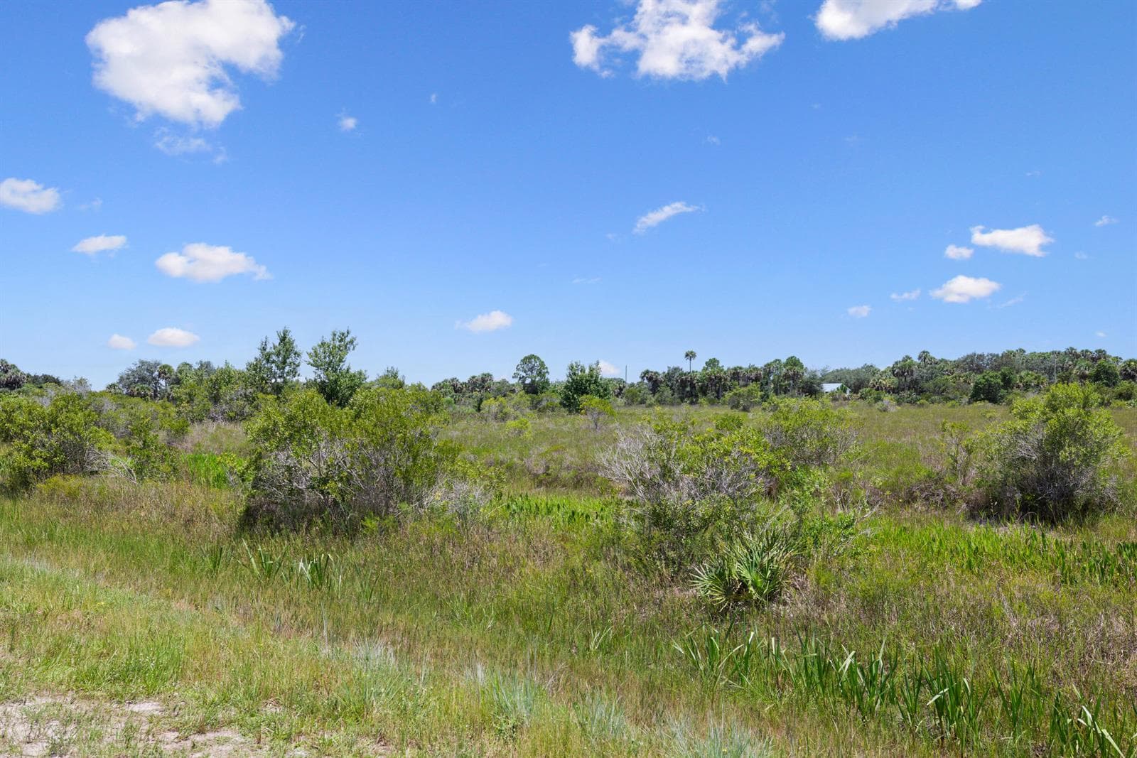 14932 NW 280TH Street, Okeechobee, FL 34972 photo 10