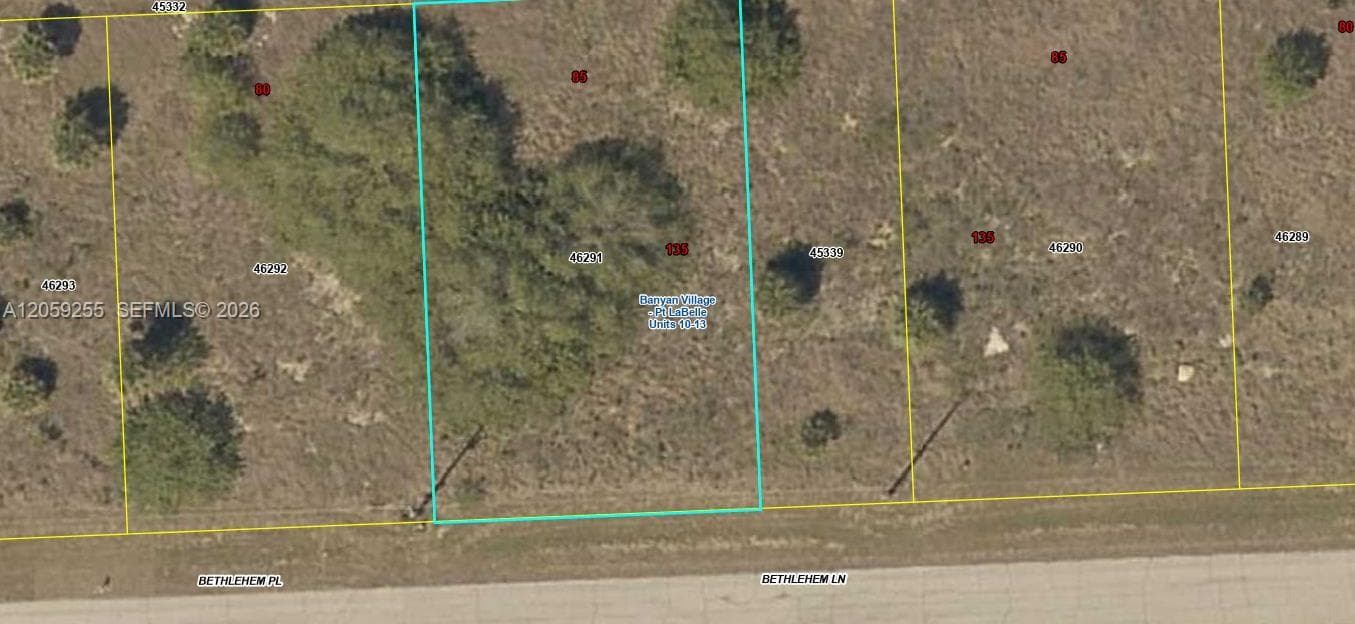 118 Bethlehem Pl, La Belle, FL 33935