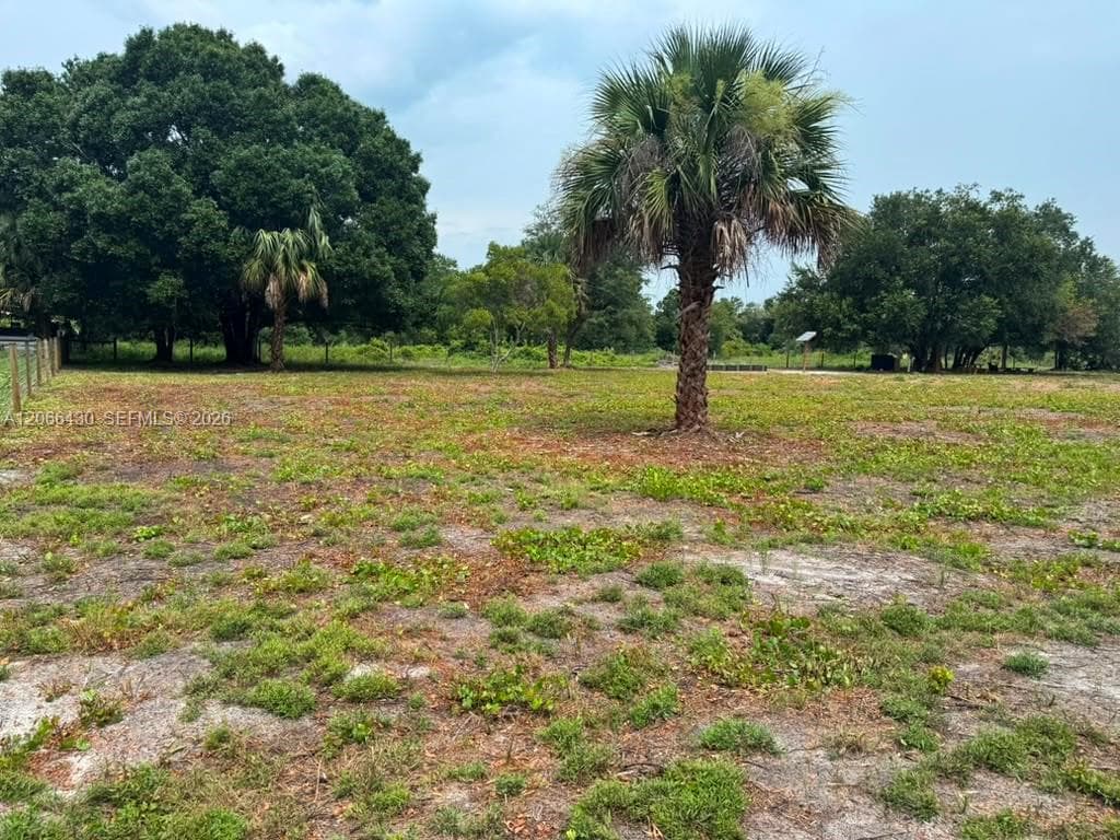 17070 NW 276th St, Okeechobee, FL 34972 photo 8