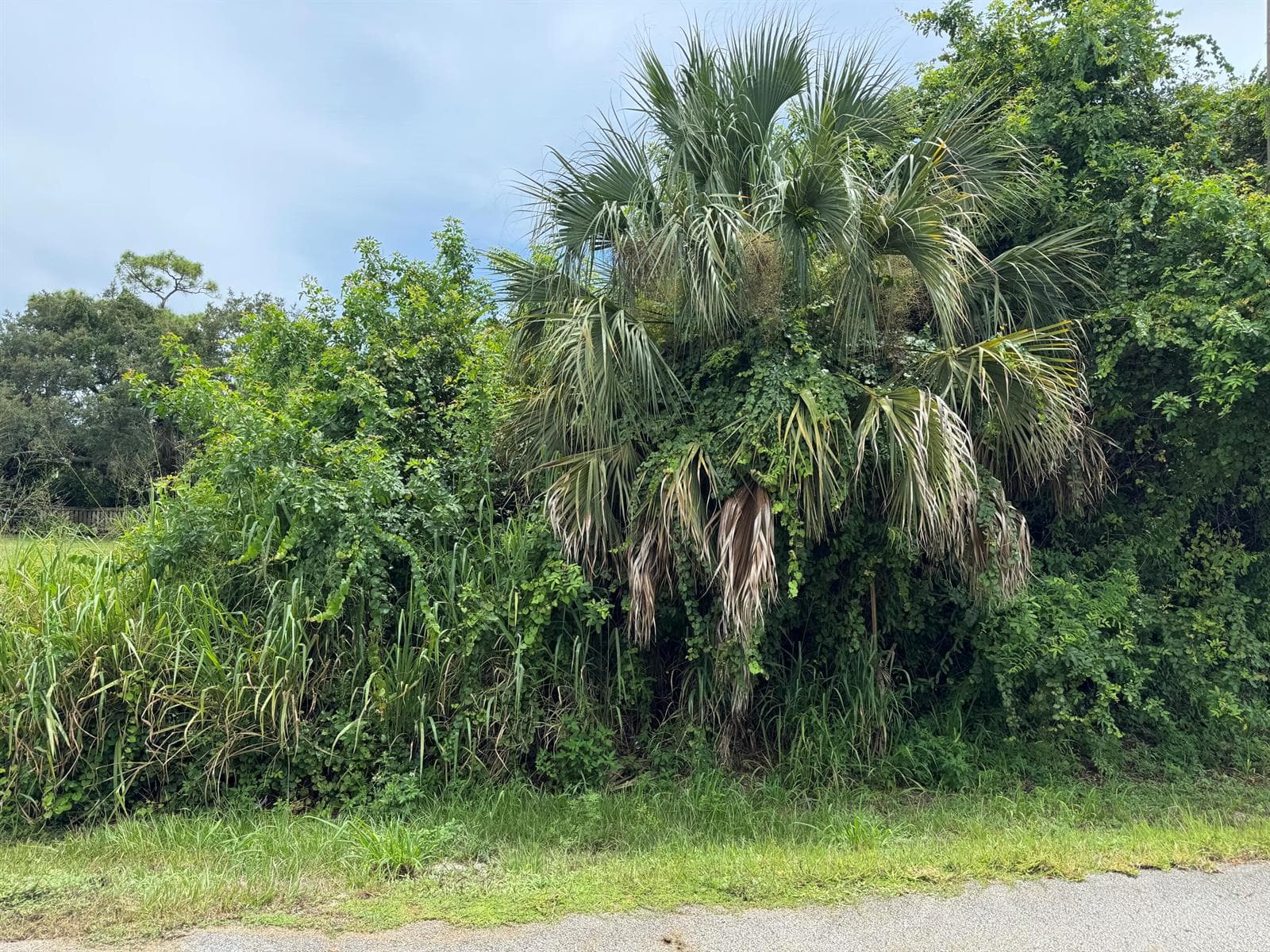 0 San Diego Avenue, Fort Pierce, FL 34946 photo 2