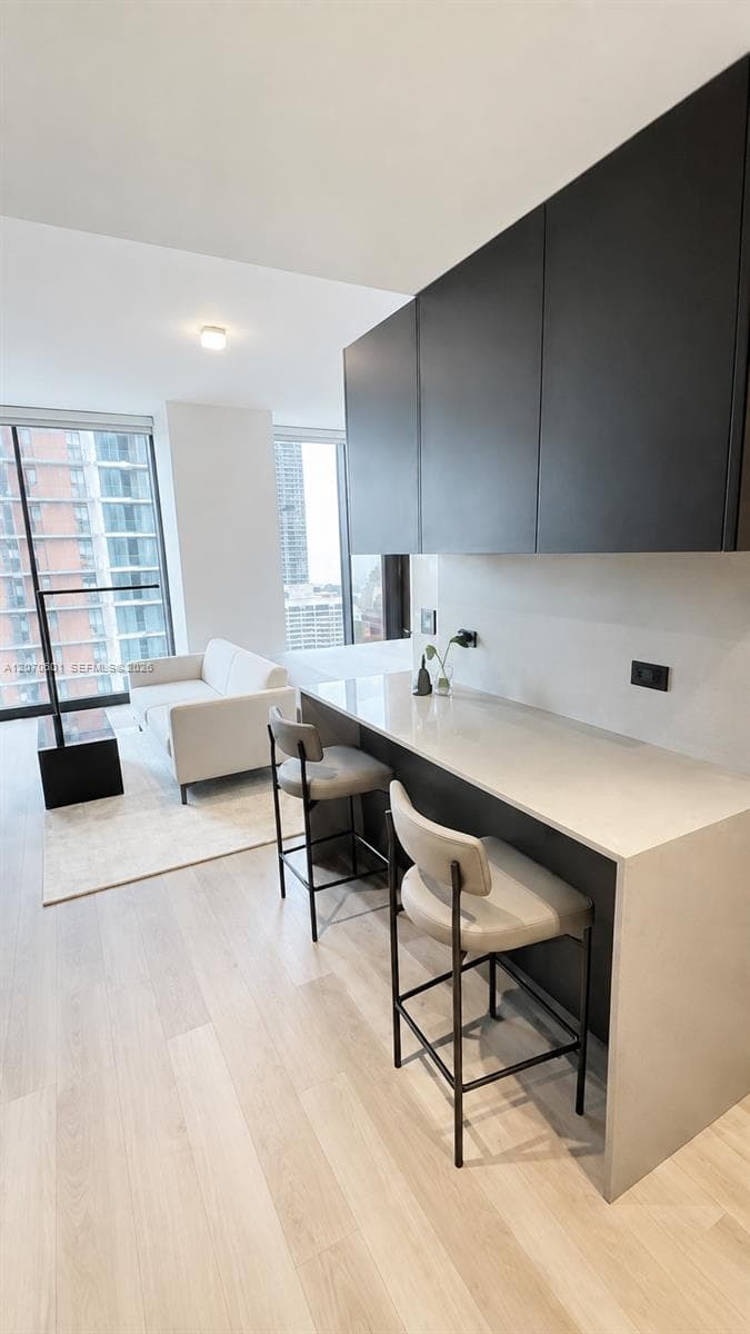 20 NE 11 ST # 2407, Miami, FL 33132 photo 6