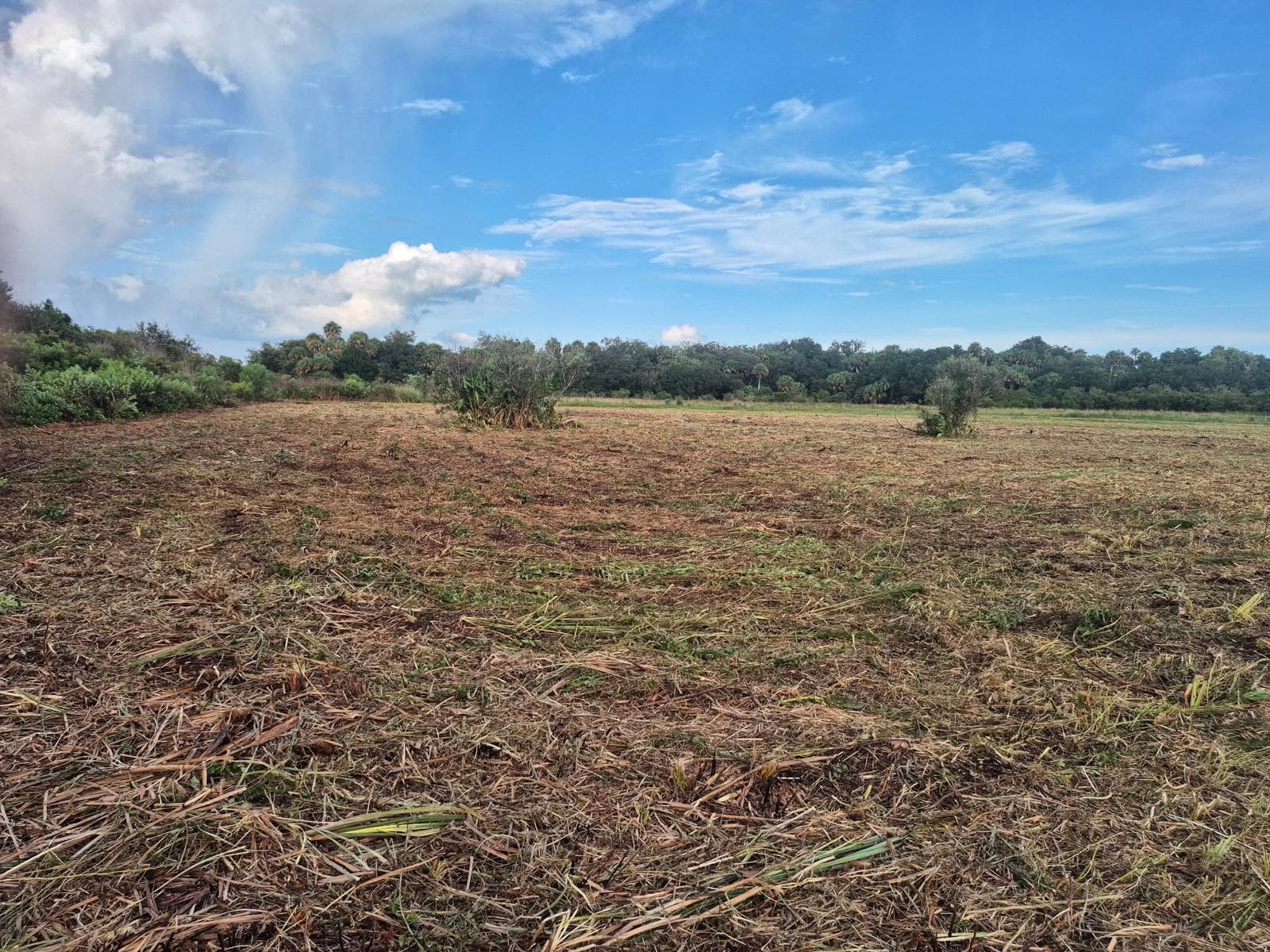 15842 NW 284th Street, Okeechobee, FL 34972 photo 8