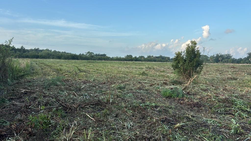15790 NW 284TH Street, Okeechobee, FL 34972 photo 6