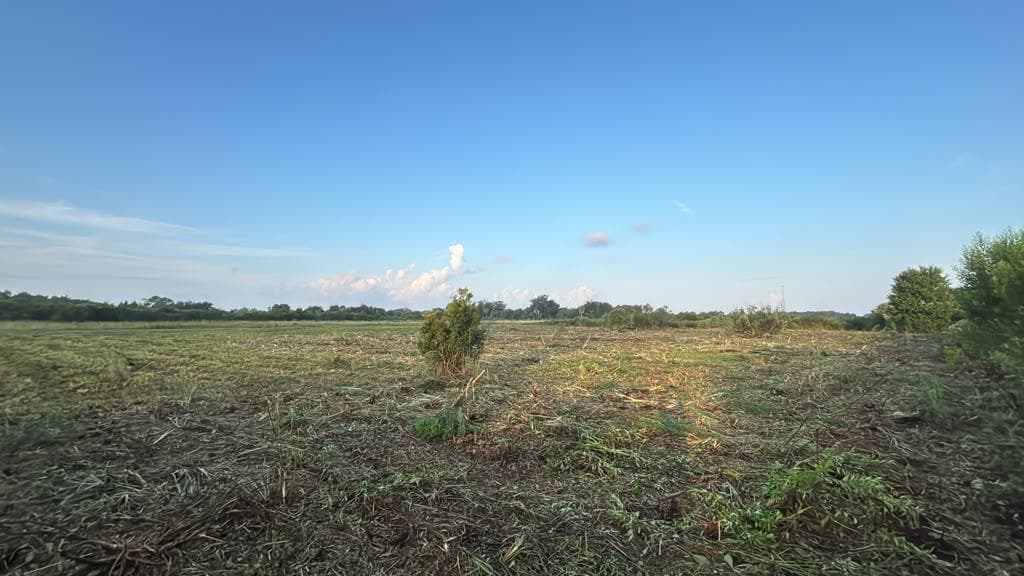 15790 NW 284TH Street, Okeechobee, FL 34972 photo 4