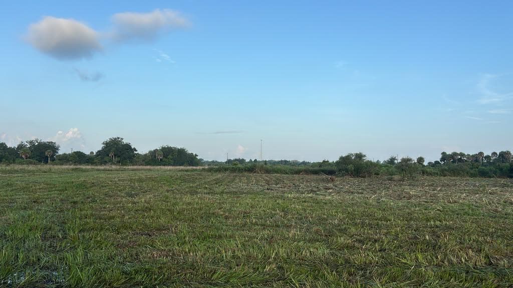 15790 NW 284TH Street, Okeechobee, FL 34972 photo 8
