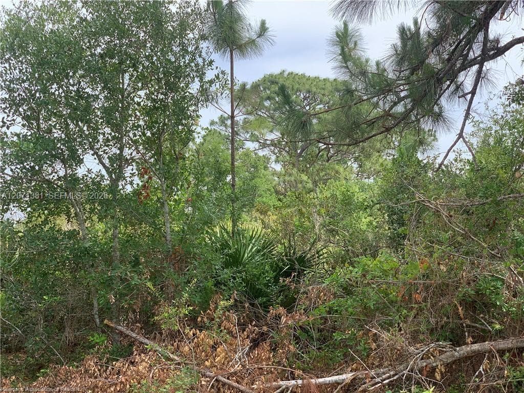 105 Citation St, Lake Placid, FL 33852 photo 6