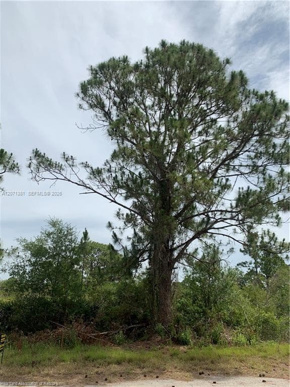 105 Citation St, Lake Placid, FL 33852 photo 7