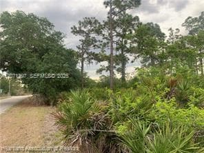 615 Wildflower Street, Lake Placid, FL 33852 photo 6