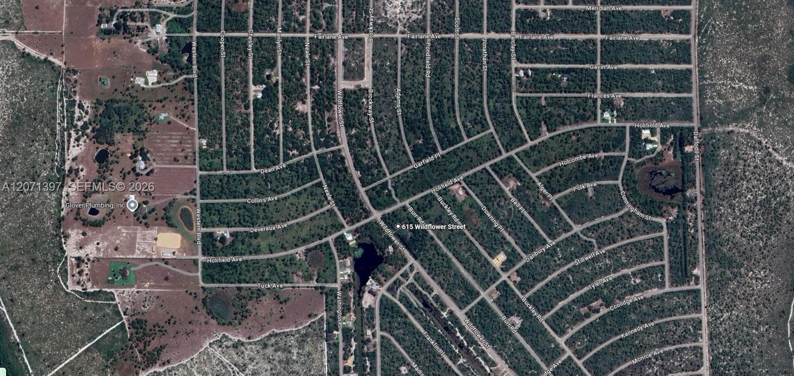615 Wildflower Street, Lake Placid, FL 33852 photo 13