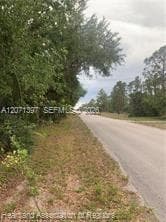 615 Wildflower Street, Lake Placid, FL 33852 photo 12