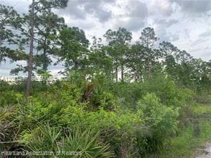 615 Wildflower Street, Lake Placid, FL 33852 photo 7
