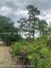 615 Wildflower Street, Lake Placid, FL 33852 photo 10