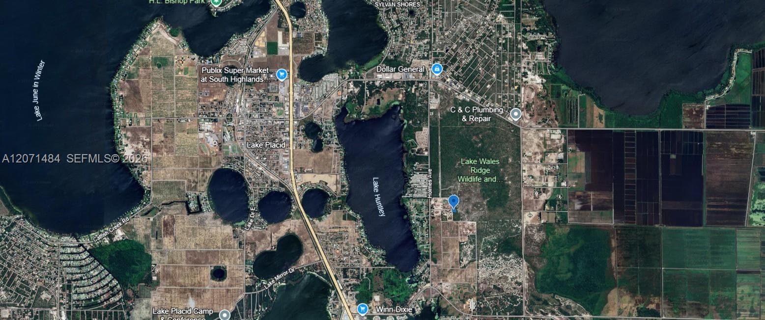 541 Carousel Lane, Lake Placid, FL 33852 photo 6