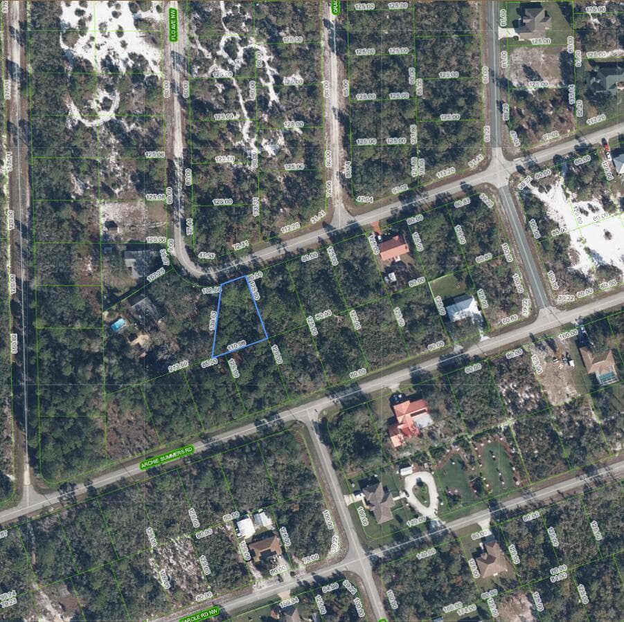 456 Bonnie Road NW, Lake Placid, FL 33852 photo 7