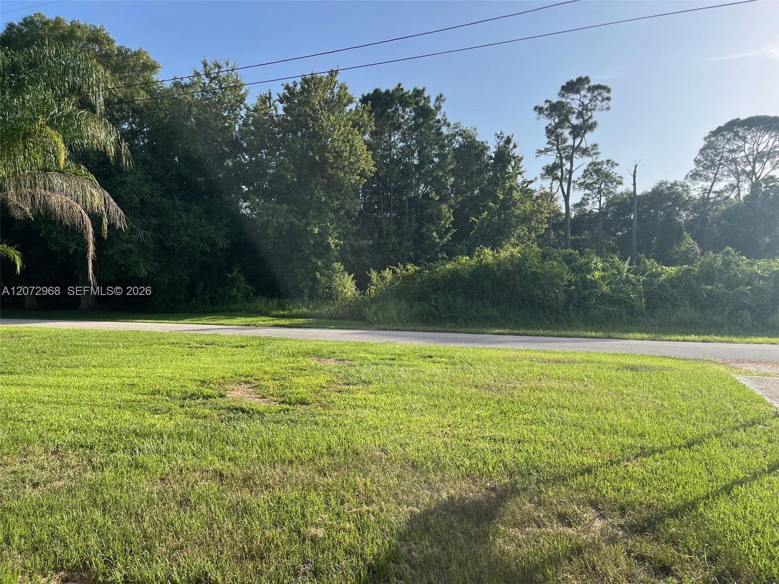 1052 Lake Carrie Dr, Lake Placid, FL 33852 photo 6