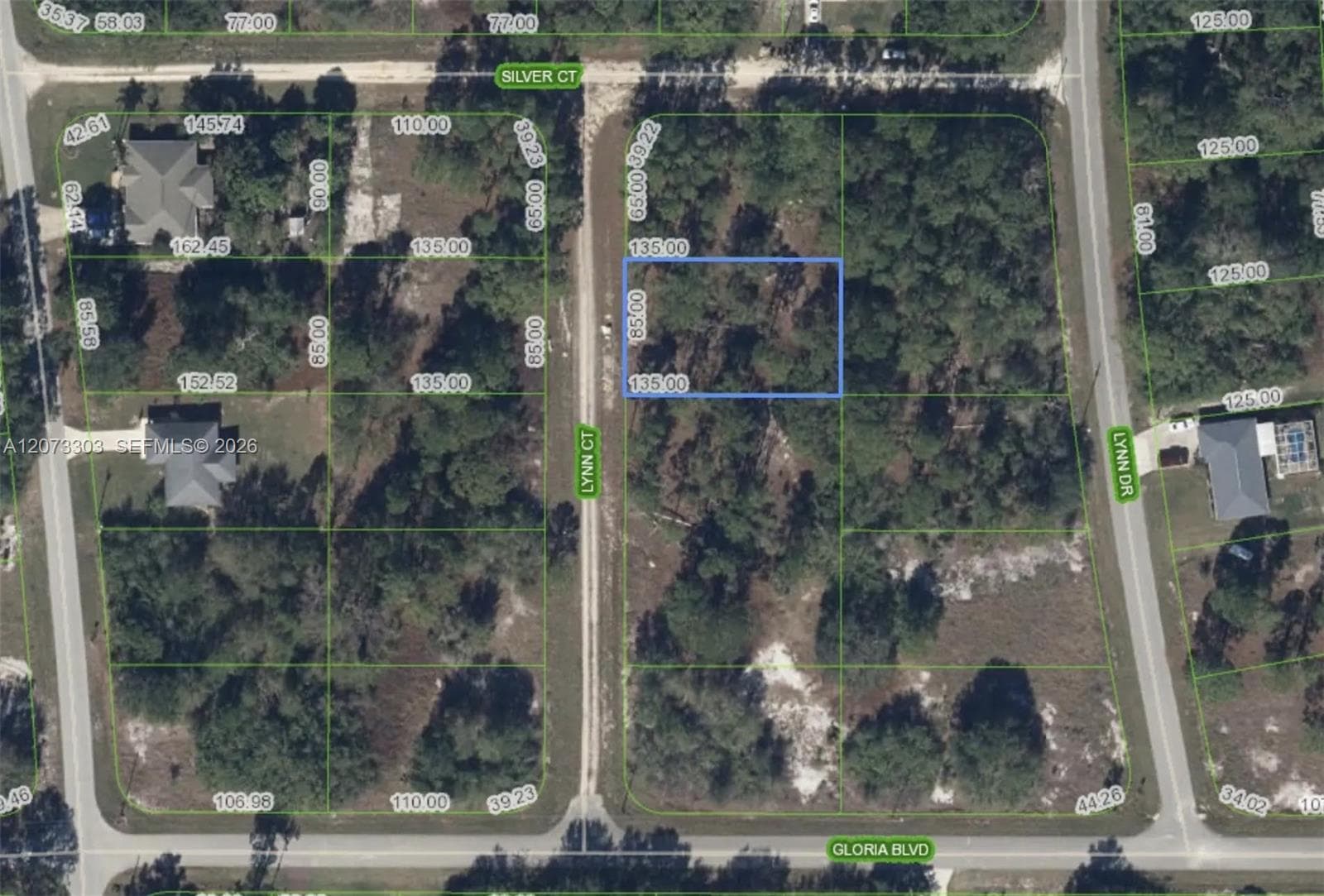 613 Lynn court, Lake Placid, FL 33852 photo 7