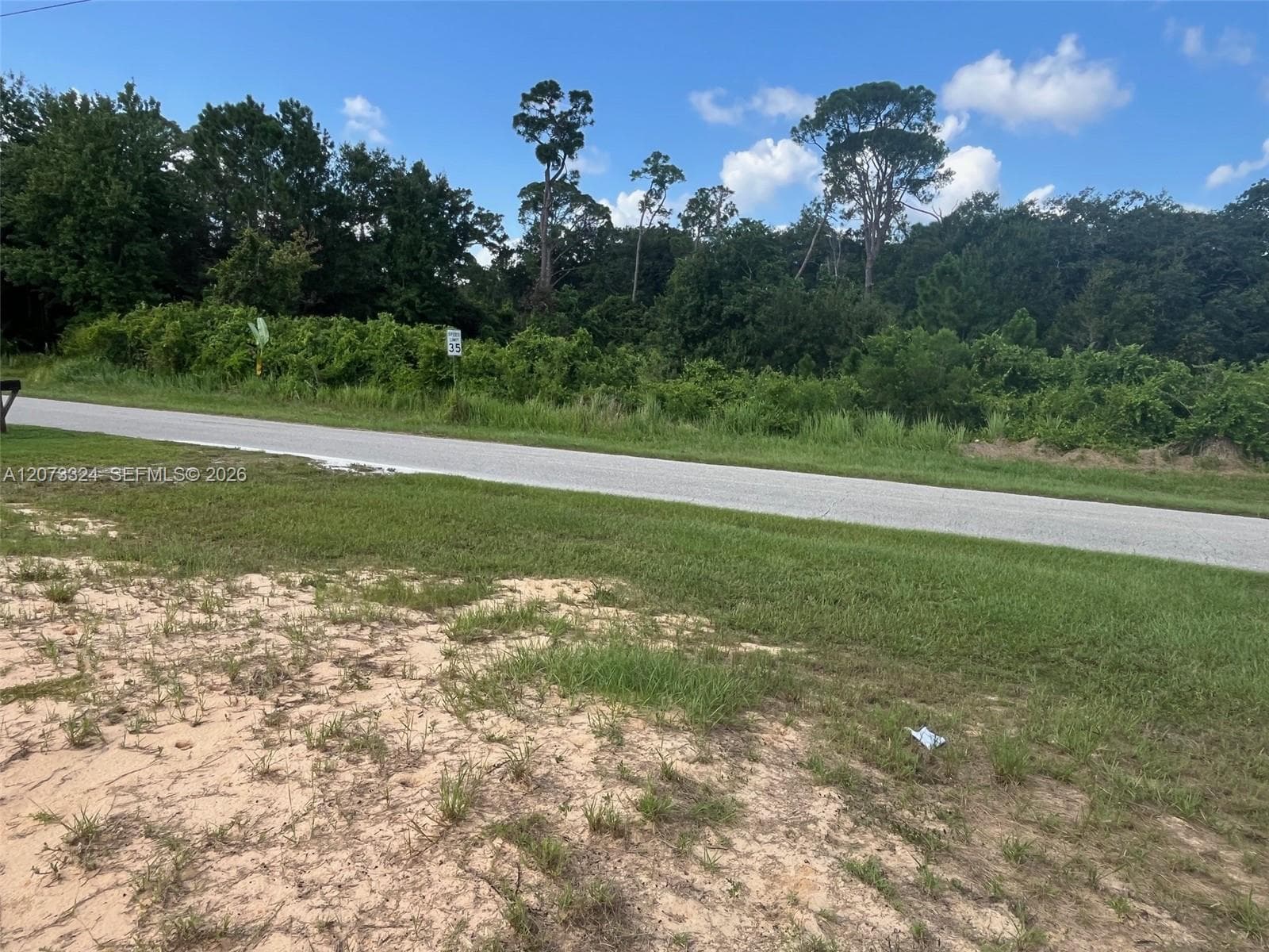 1050 Lake Carrie Dr, Lake Placid, FL 33852 photo 9