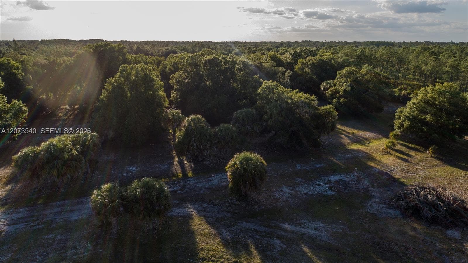 3880 Packinghouse Rd, Other City - In The State Of Florida, FL 33920 photo 7