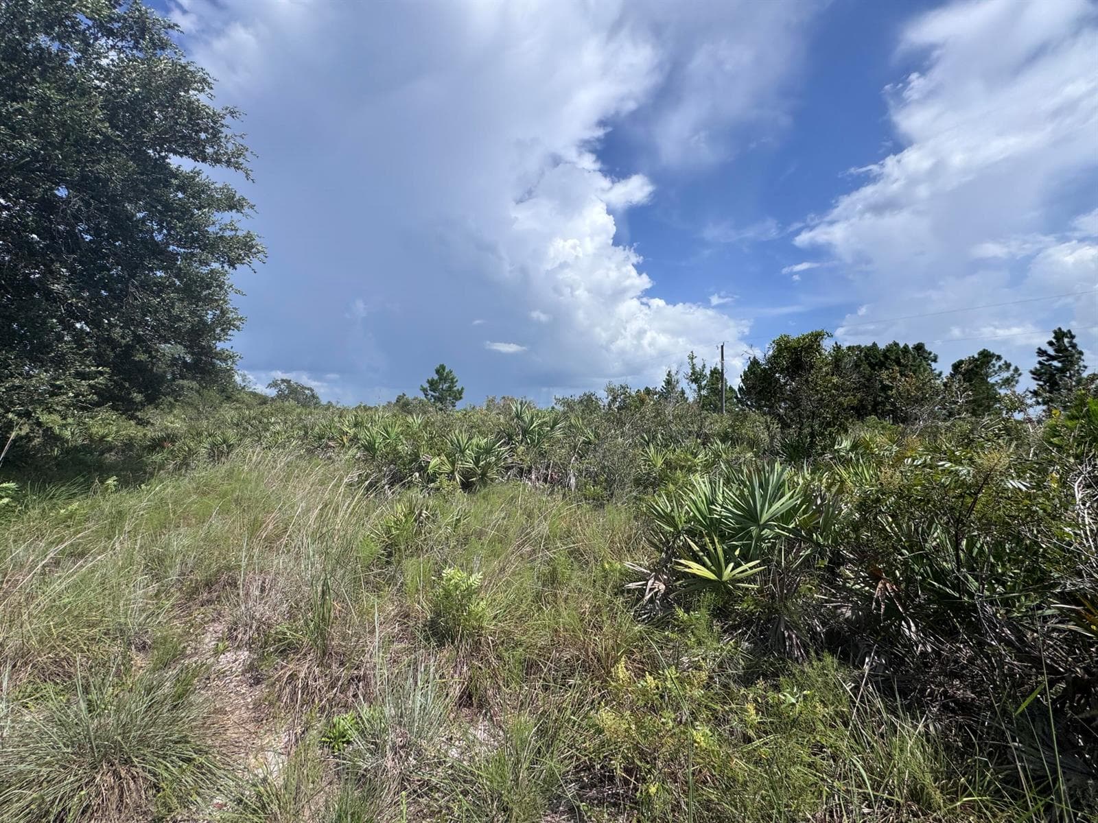 20589 NW 254TH Street, Okeechobee, FL 34972 photo 6