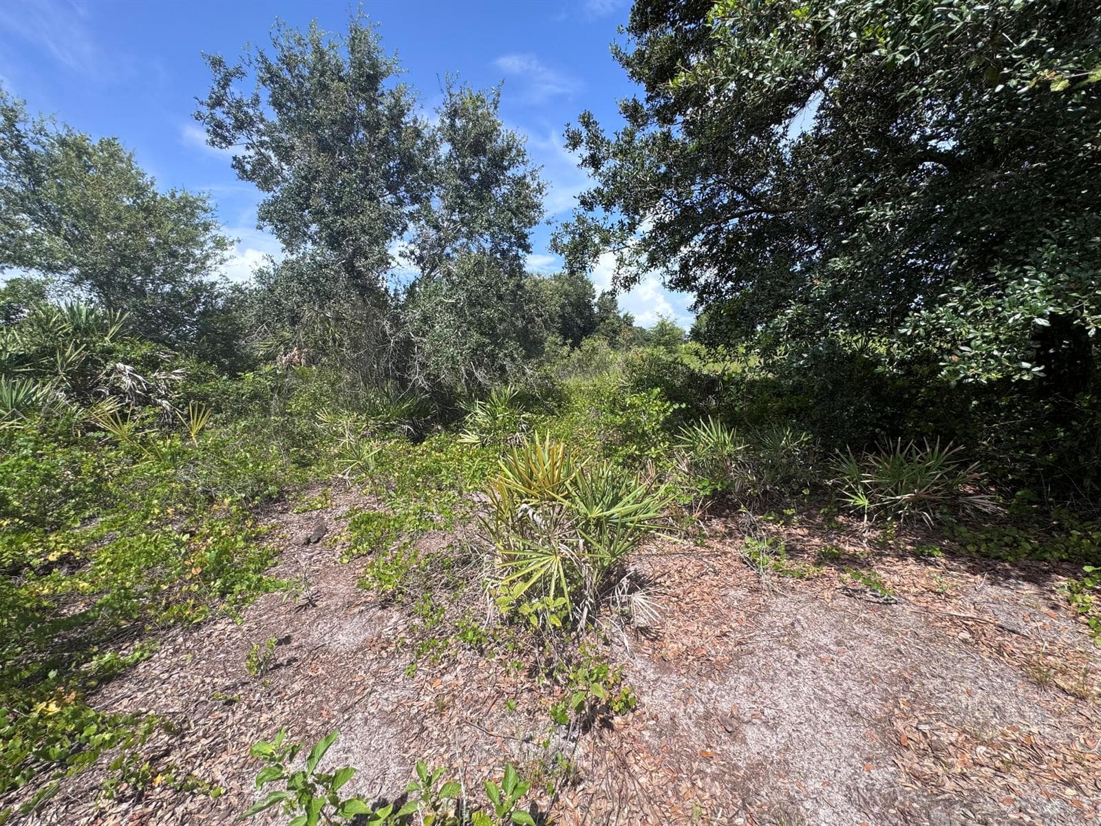 20589 NW 254TH Street, Okeechobee, FL 34972 photo 13