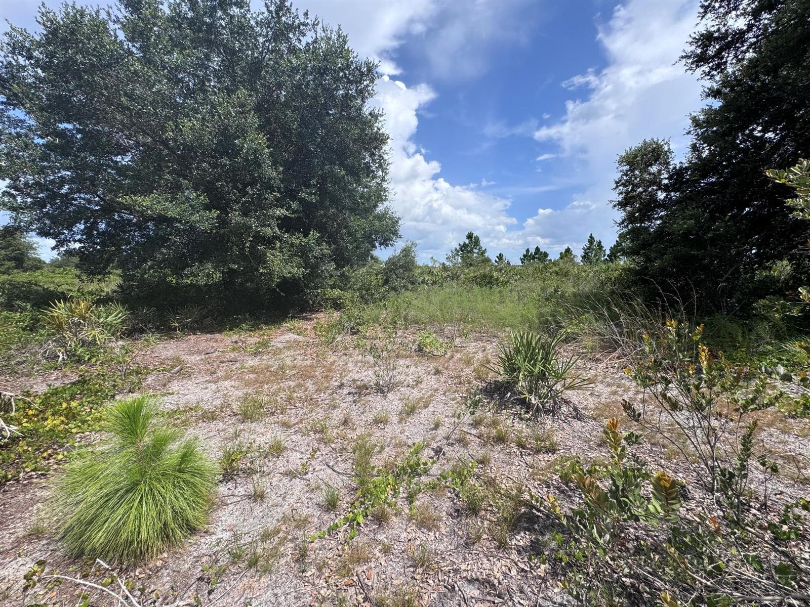 20589 NW 254TH Street, Okeechobee, FL 34972 photo 12