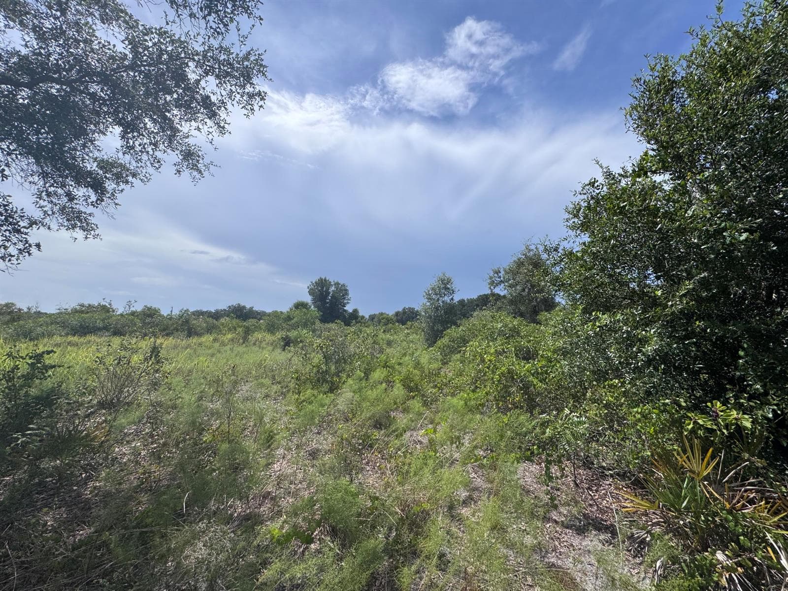 20589 NW 254TH Street, Okeechobee, FL 34972 photo 11