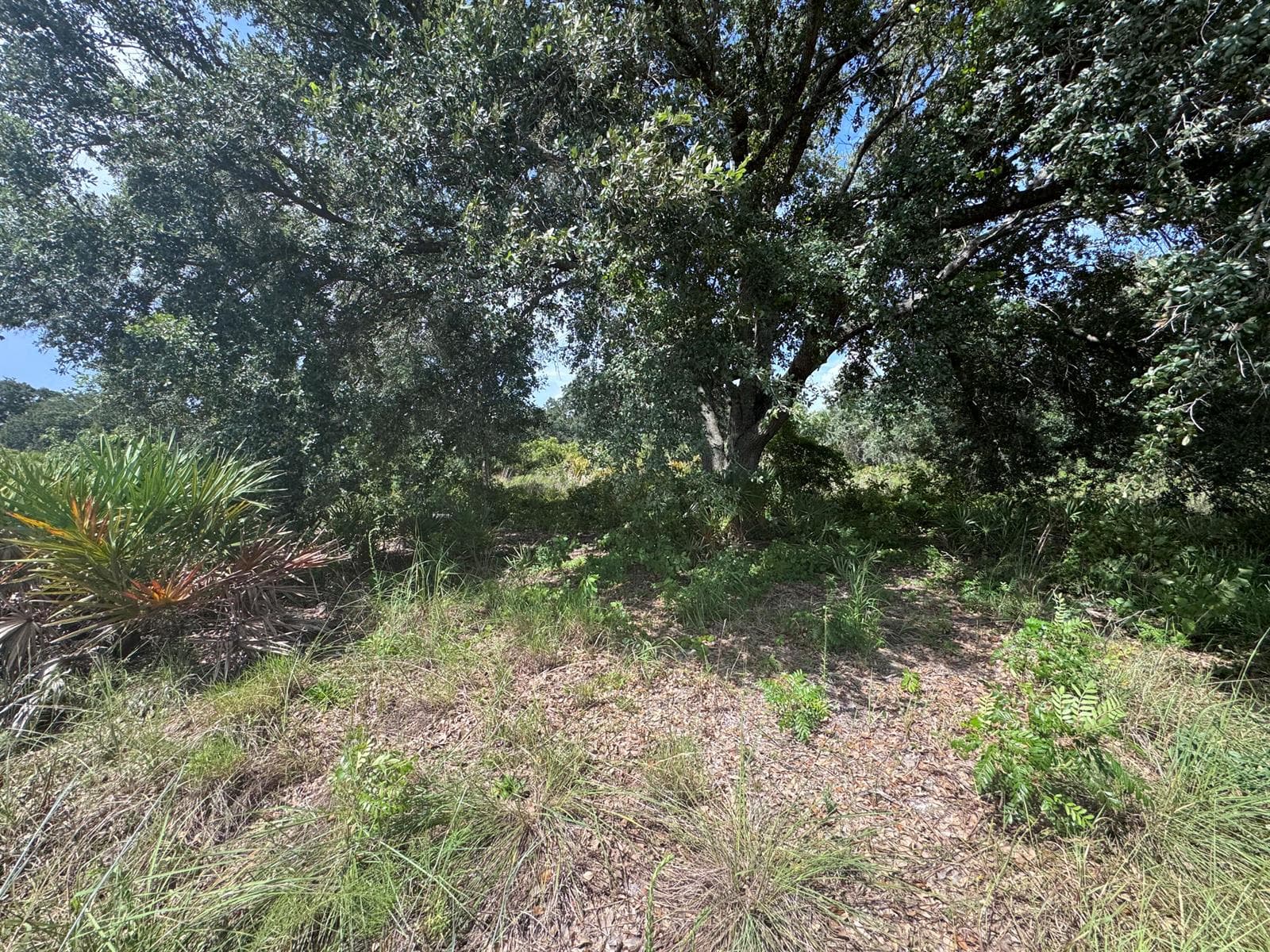 20589 NW 254TH Street, Okeechobee, FL 34972 photo 8