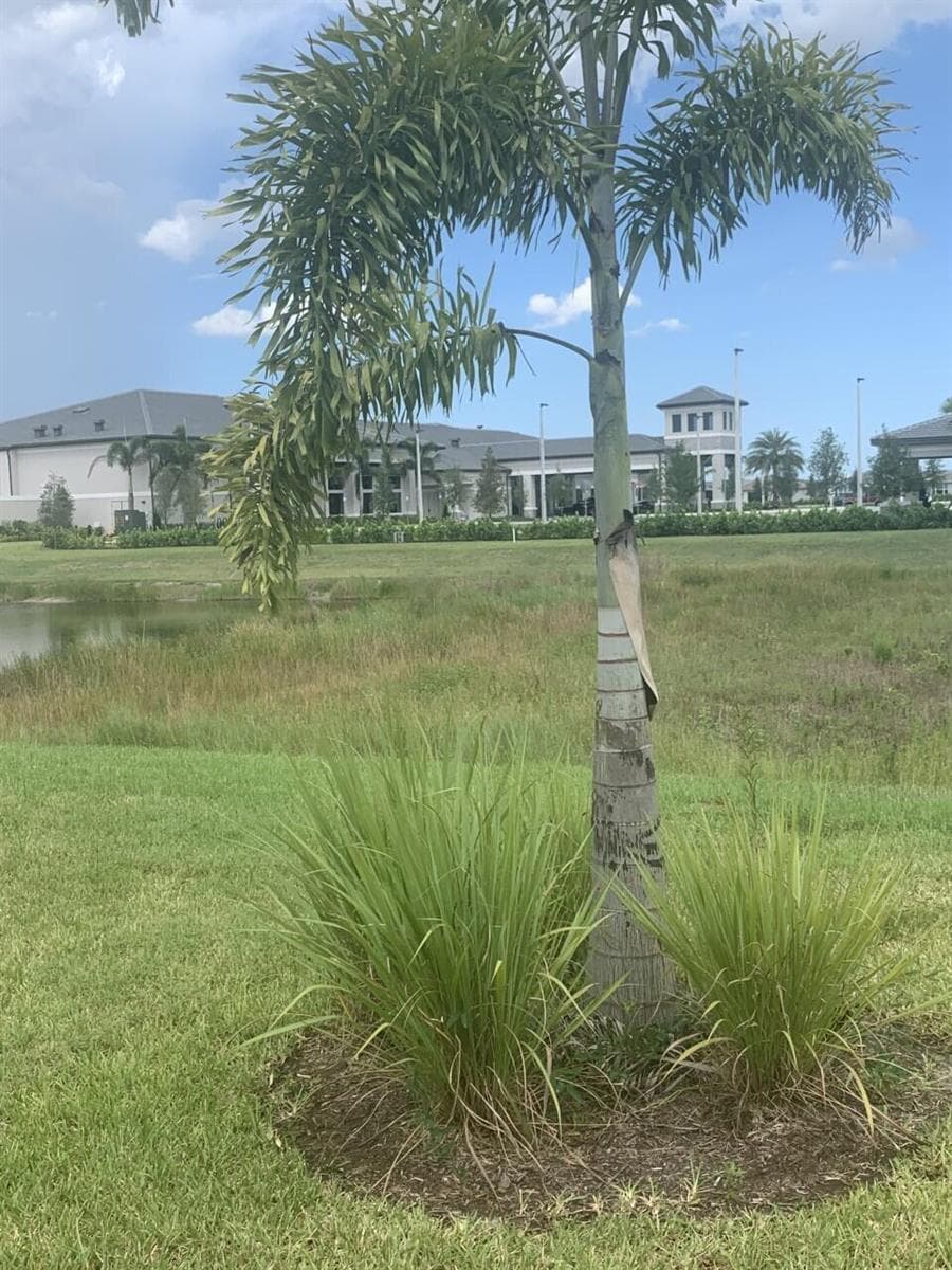 11933 SW Poseidon Way, Port St. Lucie, FL 34987 photo 12