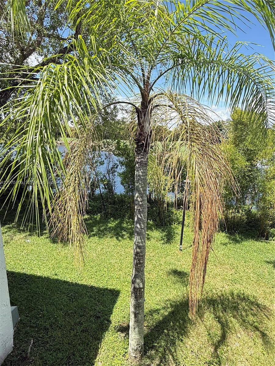 4974 NW 97th Pl # 310, Doral, FL 33178 photo 13