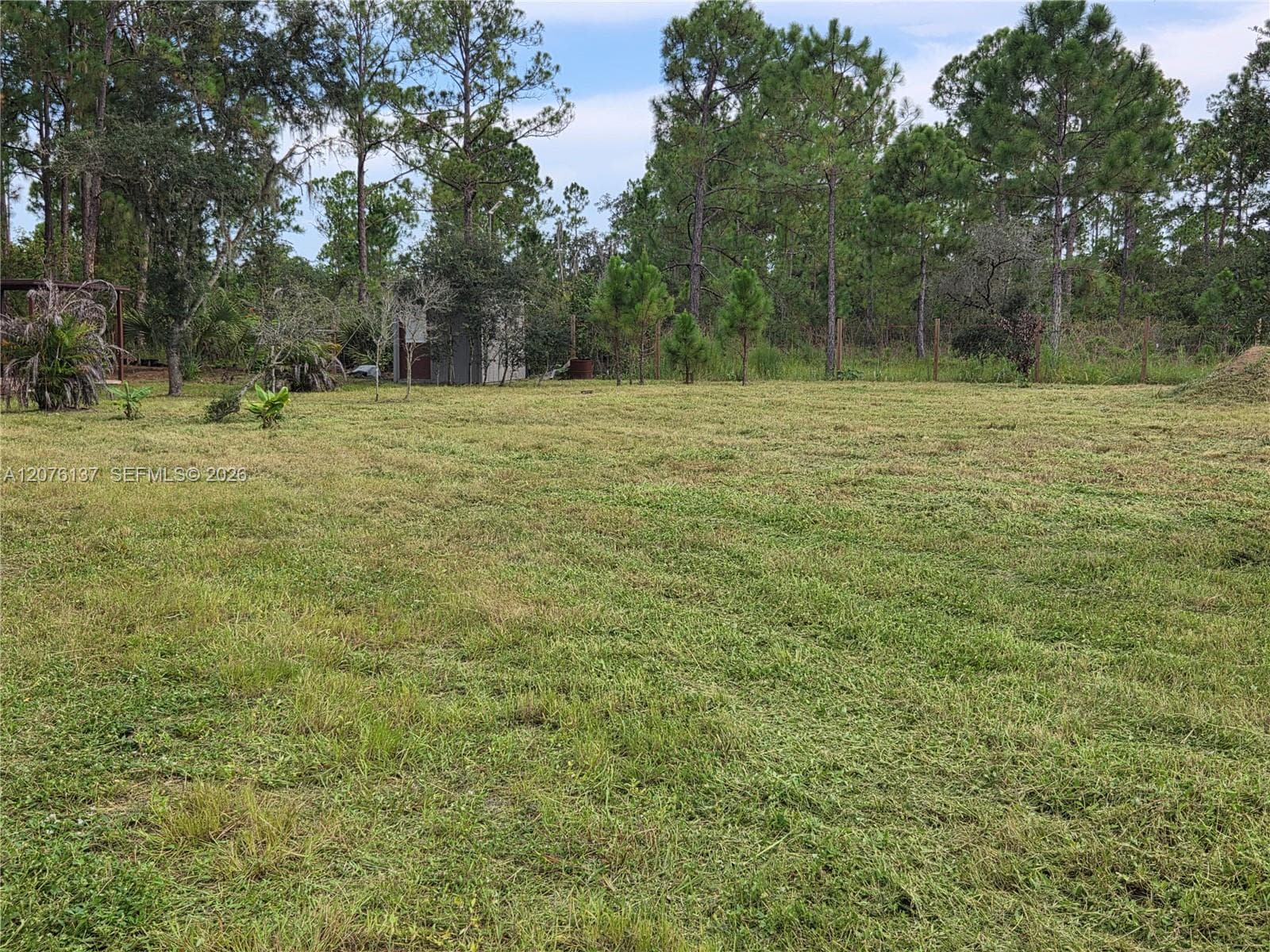 345 Rolling Hills Dr, Lake Placid, FL 33852 photo 6