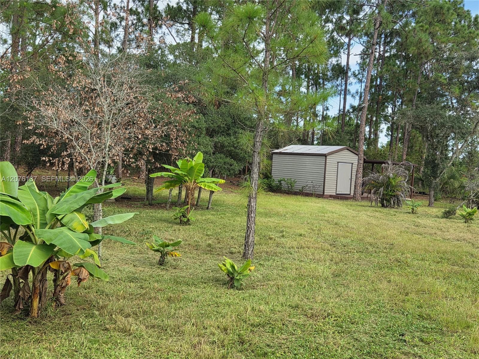 345 Rolling Hills Dr, Lake Placid, FL 33852 photo 7