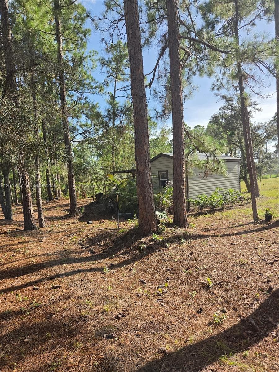 345 Rolling Hills Dr, Lake Placid, FL 33852 photo 10