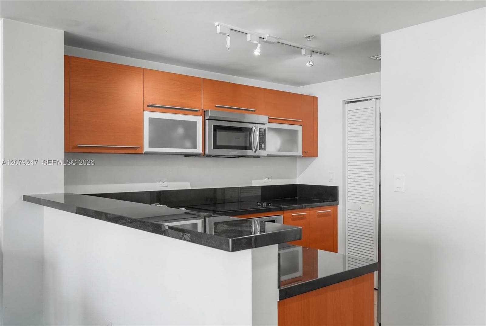 253 NE 2nd St # 1007, Miami, FL 33132 photo 8